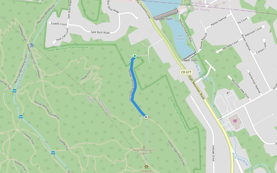 Yellow / Service Road [Link] walking route map in North Haledon