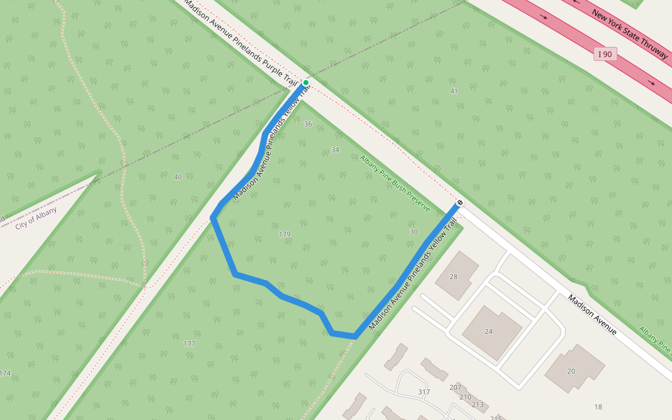 Madison Avenue Pinelands Yellow Trail