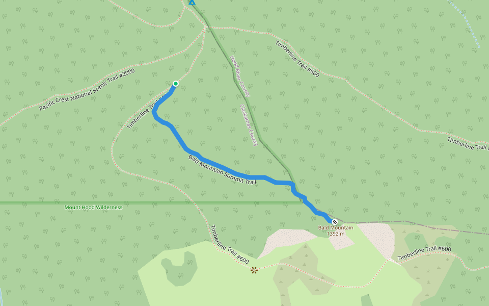 Bald Mountain Summit Trail