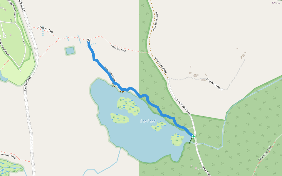 Bog Pond Trail walking route map in Savoy