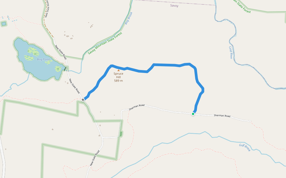 Carpenter Trail walking route map in Savoy
