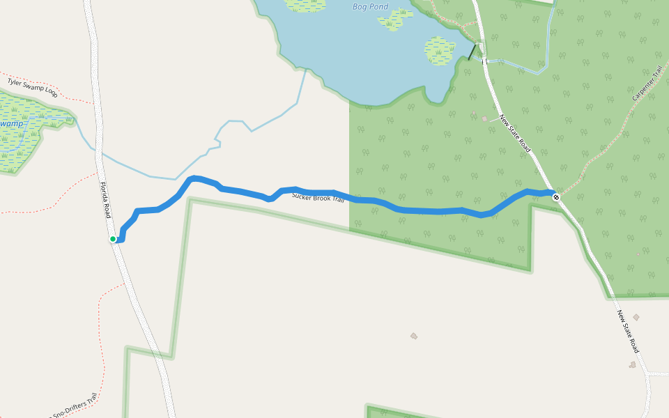 Sucker Brook Trail walking route map in Savoy