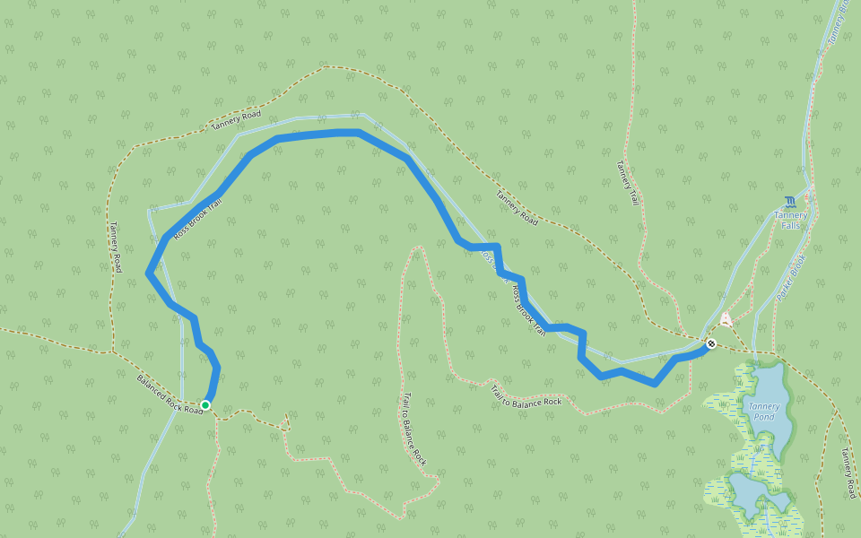 Ross Brook Trail walking route map in Savoy