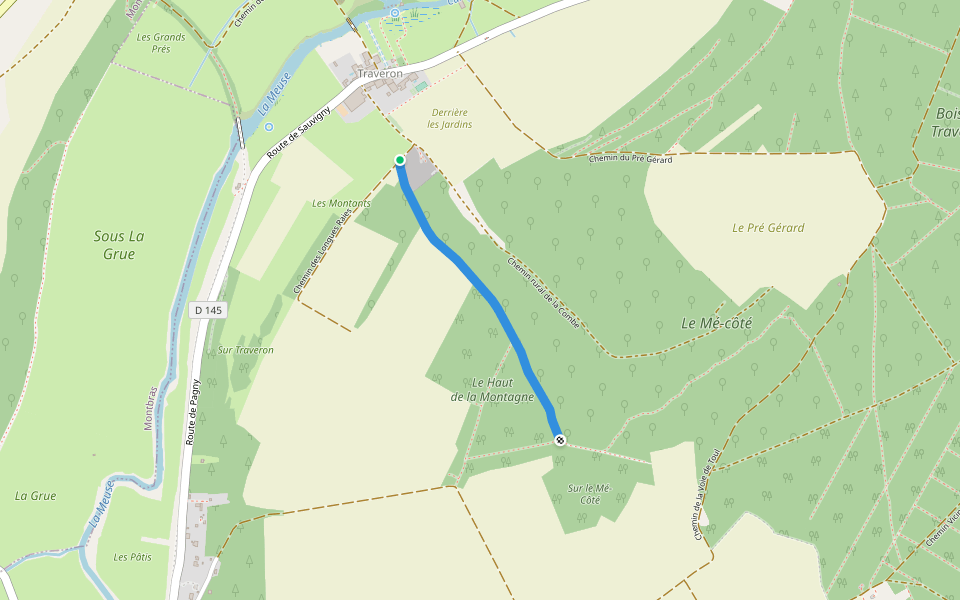 Chemin de la Montagne walking route map in Sauvigny