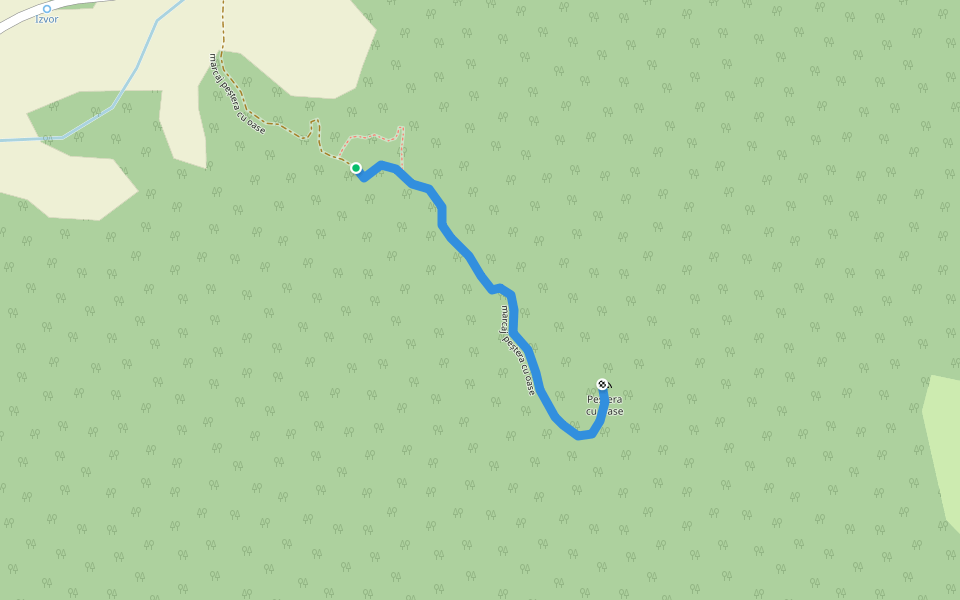 marcaj peștera cu oase walking route map in Poiana Botizii