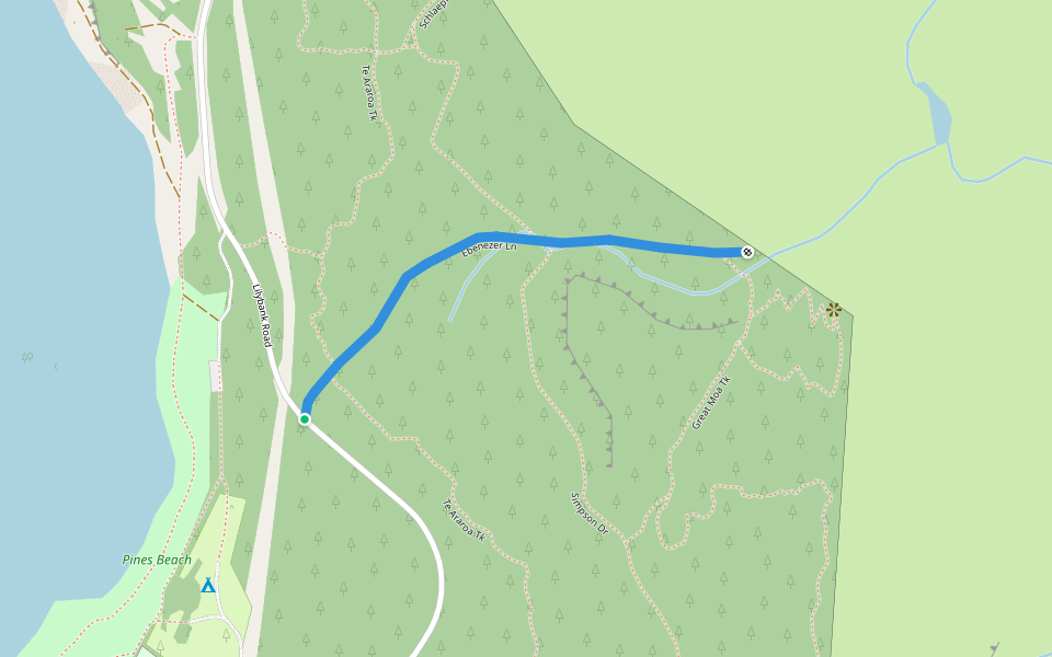 Ebenezer Ln walking route map in Tekapo