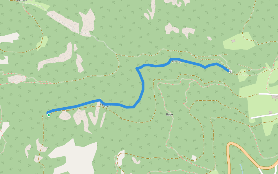 Bozerlei walking route map in Capriana