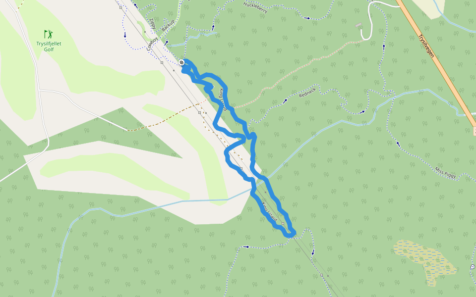 King Lizard walking route map in Innbygda