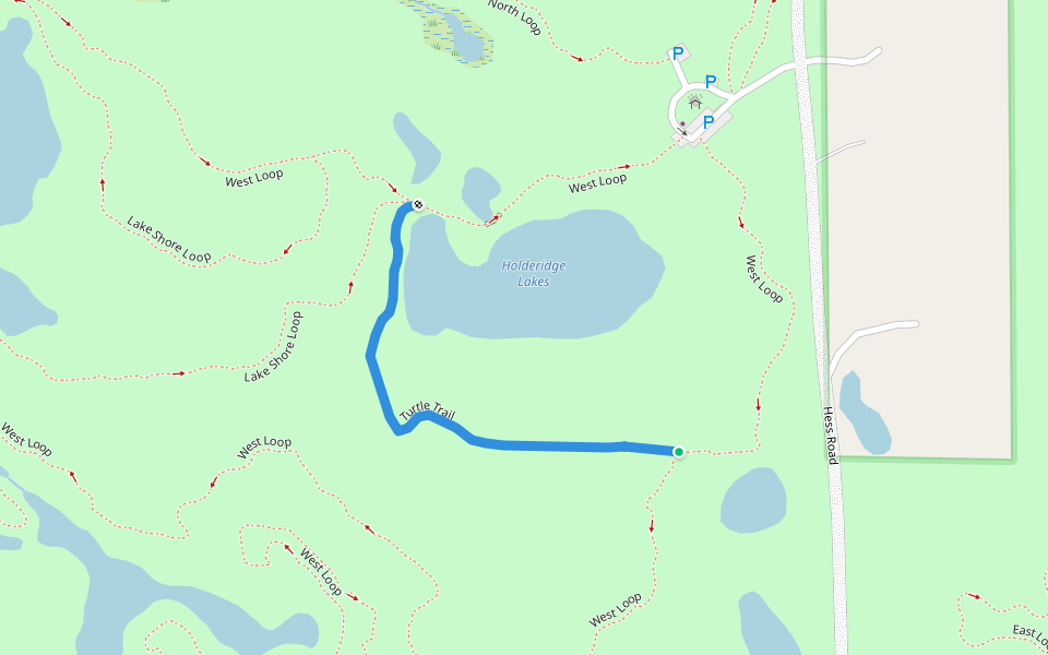 Turtle Trail walking route map in Holly