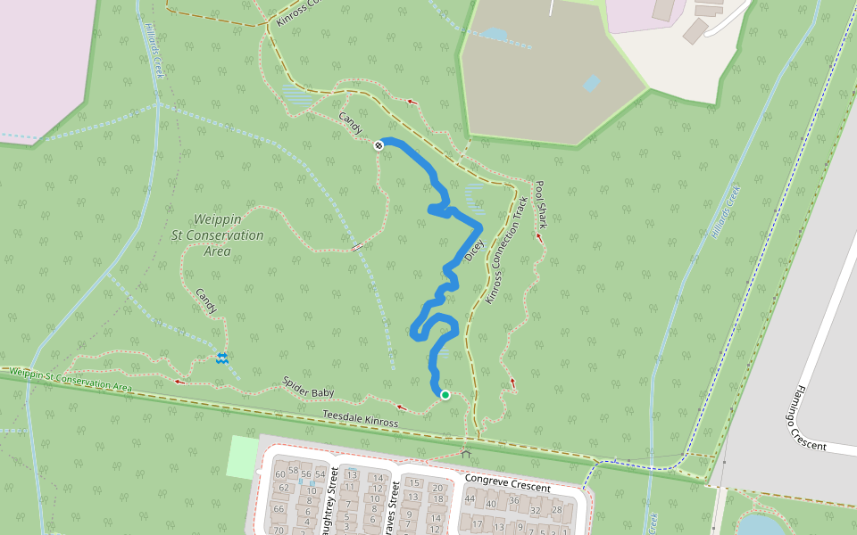 Dicey walking route map in Thornlands