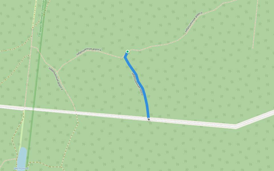 заброшенная тропа walking route map in Alekseevskoe