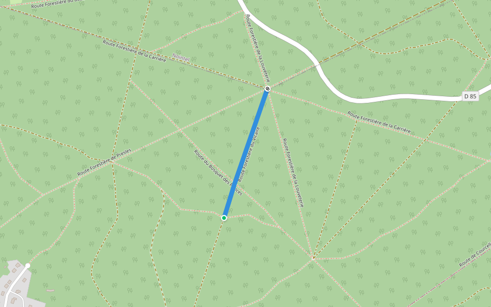 Route Forestière du Vicaire walking route map in Presles