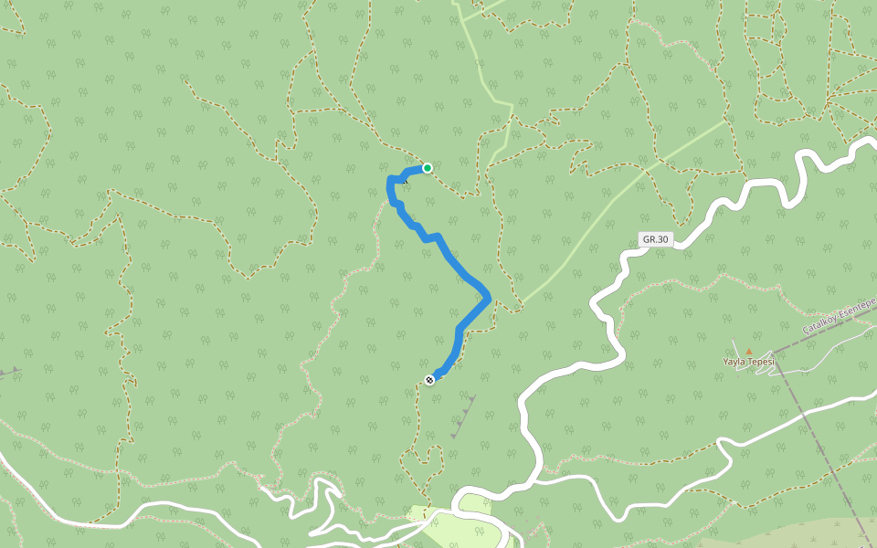ERMENİ MANASTIRI ALEVKAYASI PİKNİK ALANI PARKURU walking route map in Karaagaç