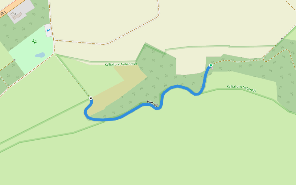 Weg 65 walking route map in Hürtgenwald