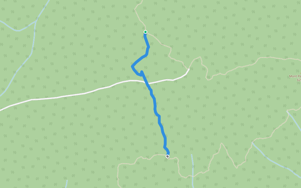 Sentier international des Appalaches - Raccourci du mont Petchedetz walking route map in Causapscal