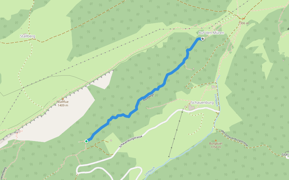 Bärewägli walking route map in Selzach