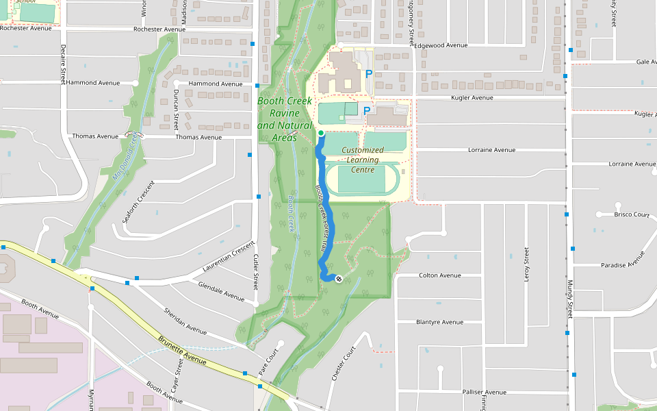 Booth Creek Forest Trail Walking and Running Coquitlam, British