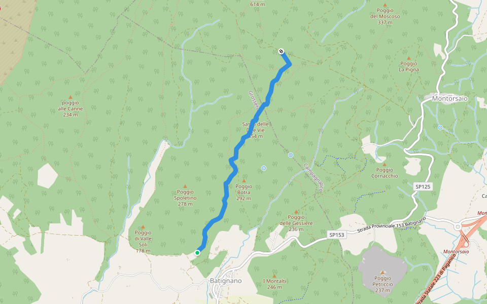 Strada vicinale per Monte Leoni walking route map in Batignano