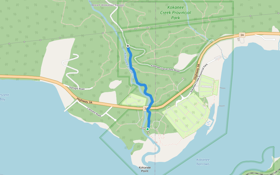 Canyon Trail Hiking - Nelson, British Columbia | Pacer