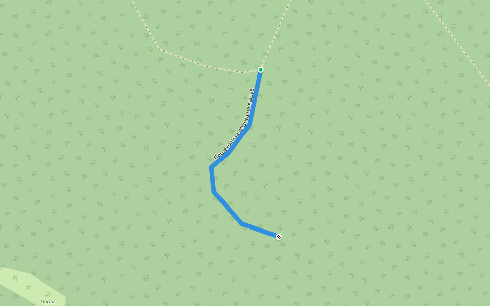 Пешеходная дорога на выруб walking route map in Kulemino