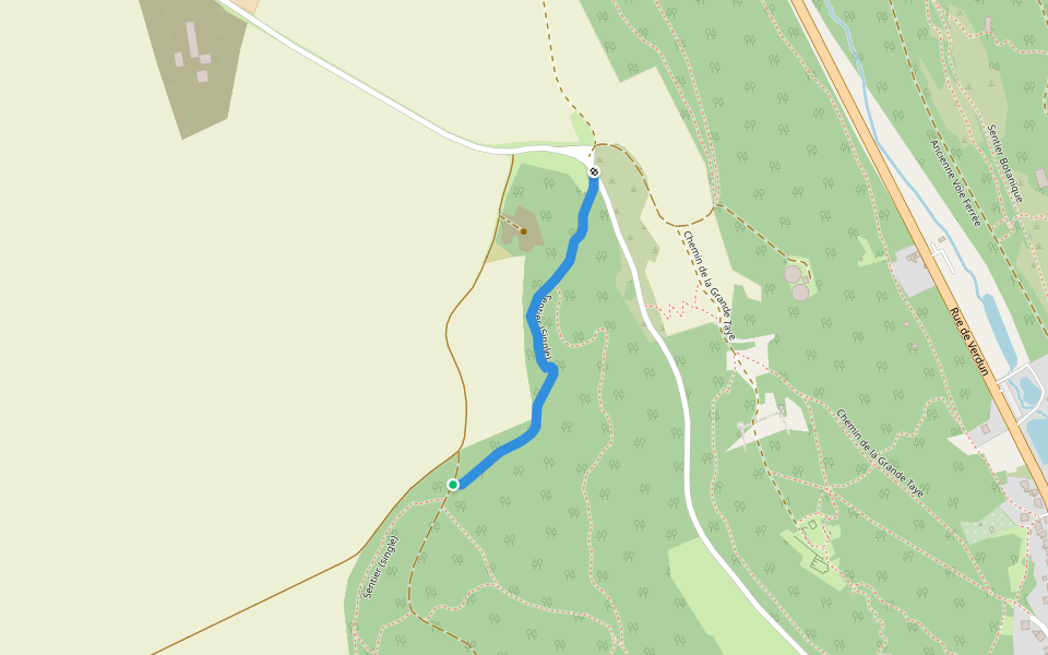 Sentier (Single) walking route map in Châtel-Saint-Germain