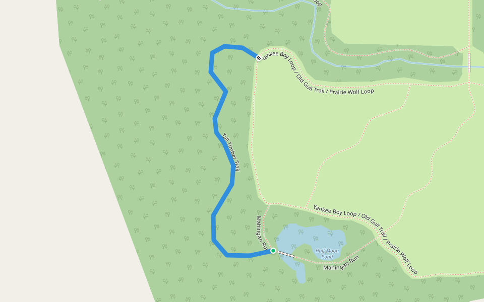 Tall Timber Trail walking route map in Caledonia
