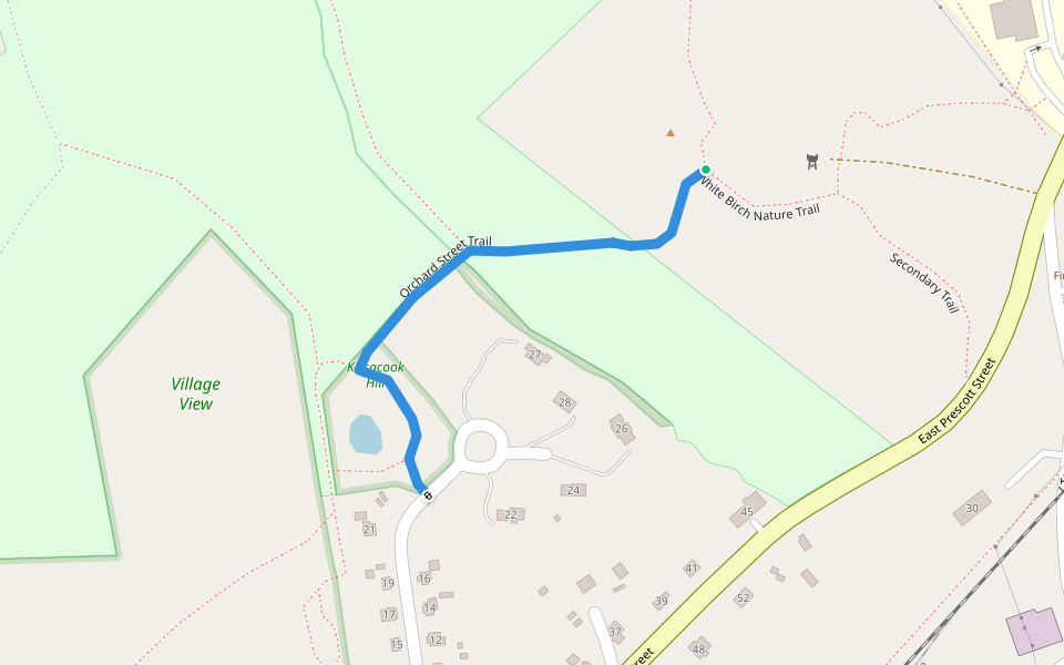 Orchard Street Trail walking route map in Westford