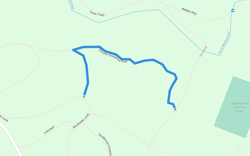 Chisolm Snowshoe Trail Walking and Running Lake Placid, New York Pacer