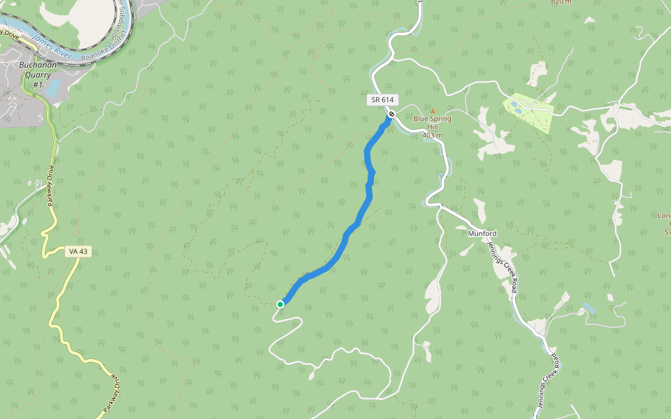 Little Cove Mountain Trail (blue) walking route map in Buchanan