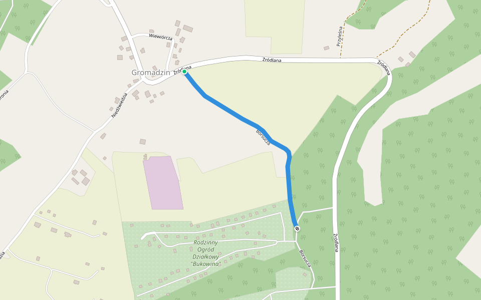 Borsucza walking route map in Gromadzin