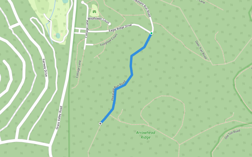 Pheasant Run Road walking route map in Lake Arrowhead