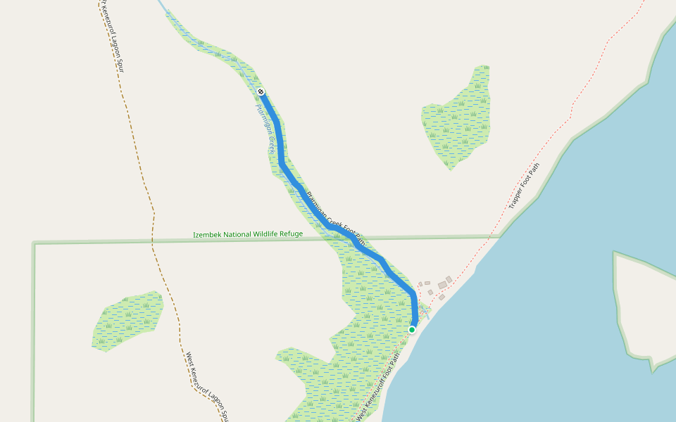 Ptarmigan Creek Foot Path walking route map in Cold Bay