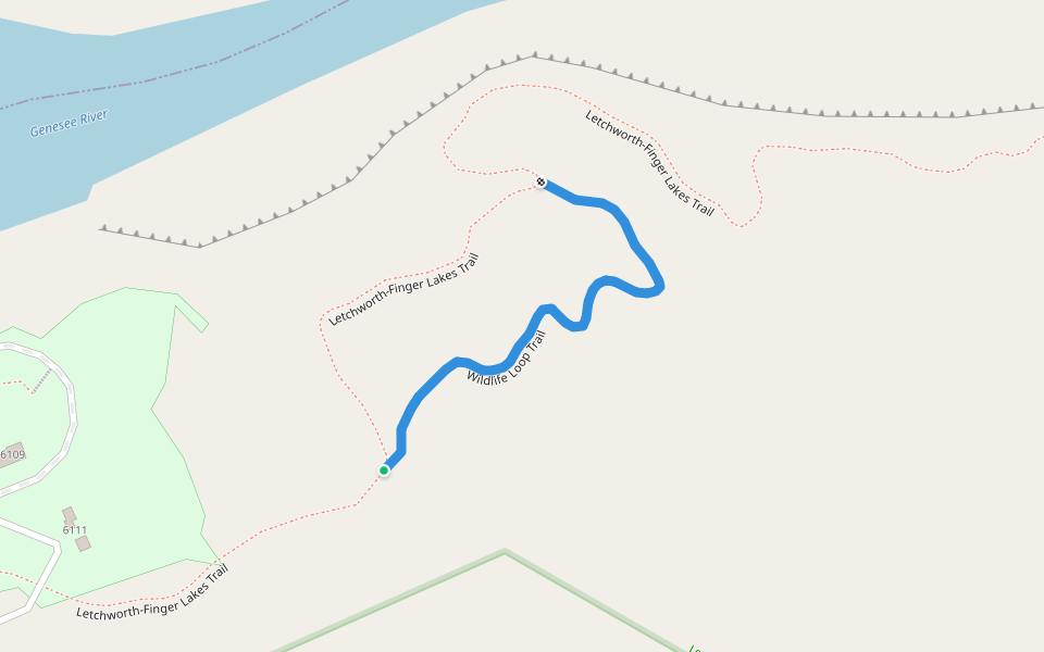 Wildlife Loop Trail walking route map in Mount Morris