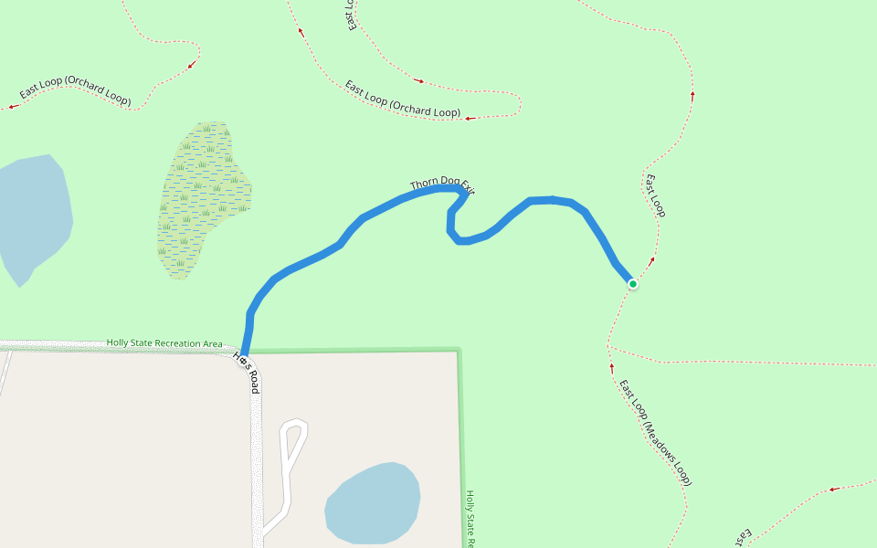 Thorn Dog Exit walking route map in Holly