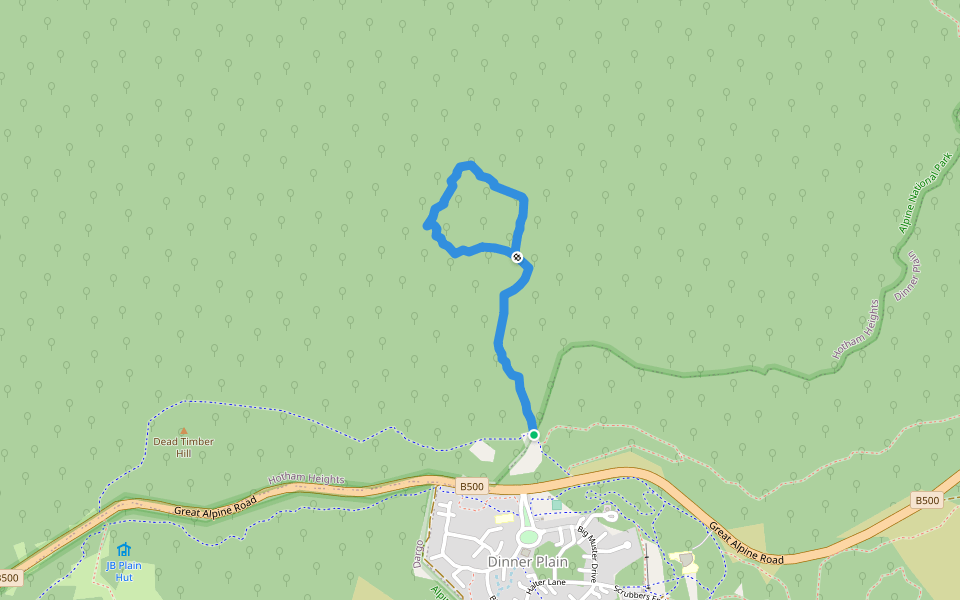 Room With A View Walking Track walking route map in Dinner Plain