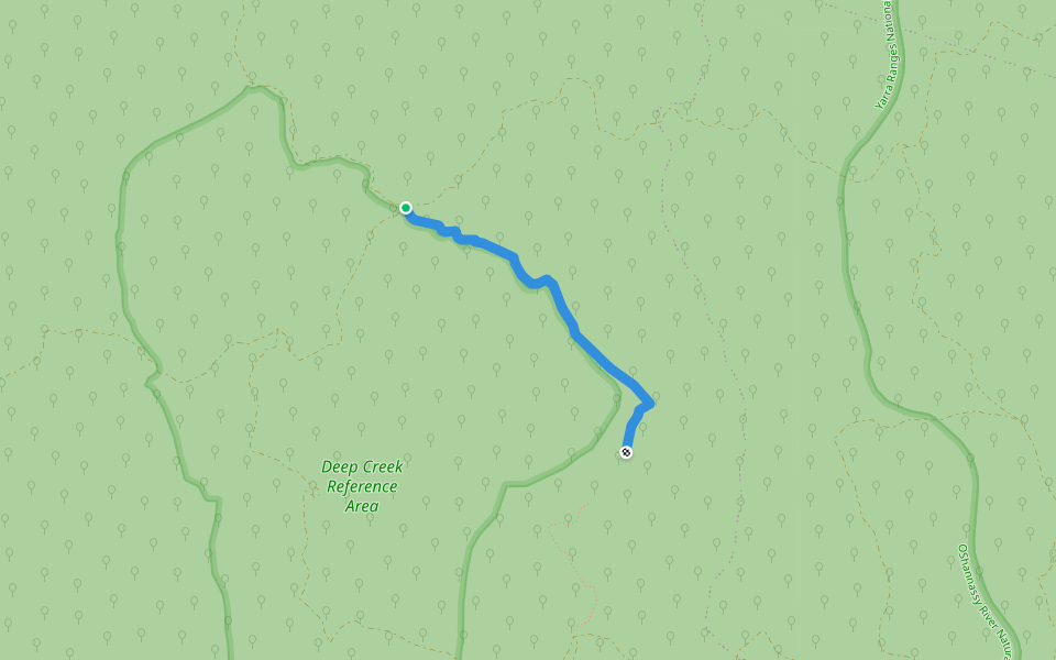 Road 5 walking route map in Reefton
