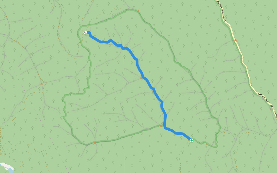 Road 2 walking route map in Cambarville