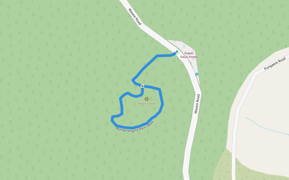 Manginangina Kauri Walk walking route map in Waipapa