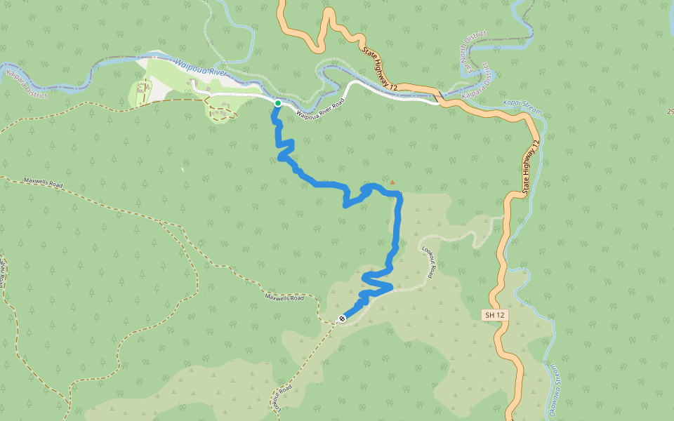 Lookout Track walking route map in Waipoua Kauri Forest