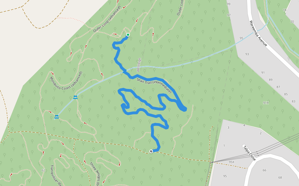 Snail Trail (intermediate) walking route map in Thornleigh