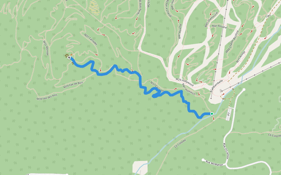 M50 Coureur des Bois