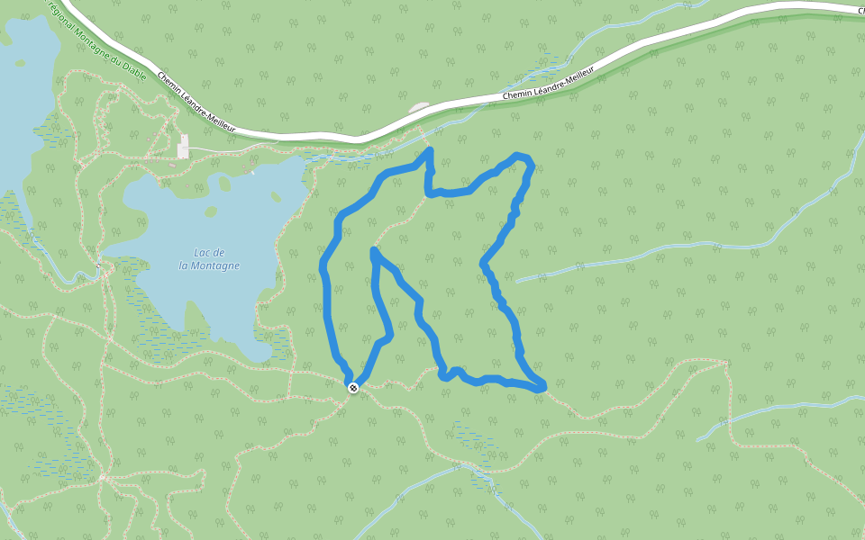 Mauve walking route map in Ferme-Neuve