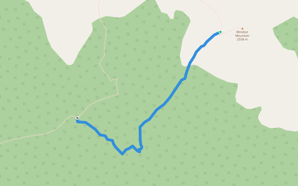Windsor Mountain Route walking route map in Bellevue