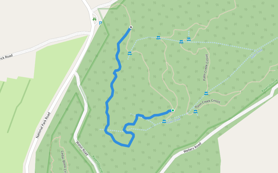 Rainforest Circuit walking route map in Palmtree