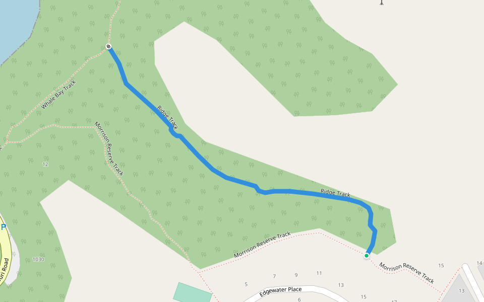 Ridge Track walking route map in Matapouri