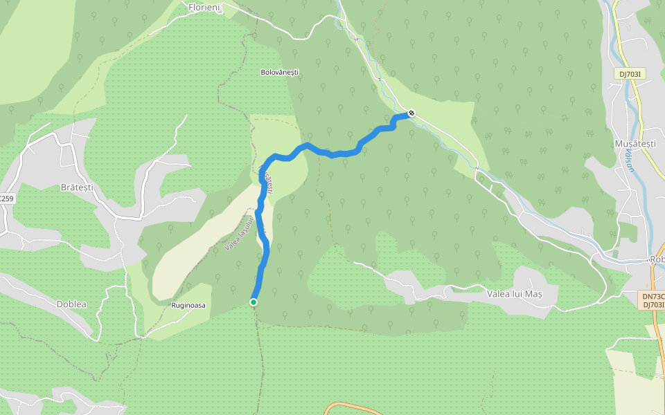 trase Valea lui Maș <> Ruginoasa walking route map in Brătești