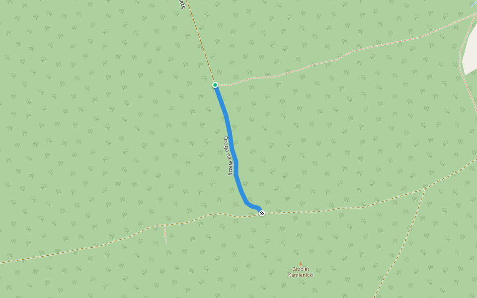 Droga na Wieżę walking route map in Piechowice