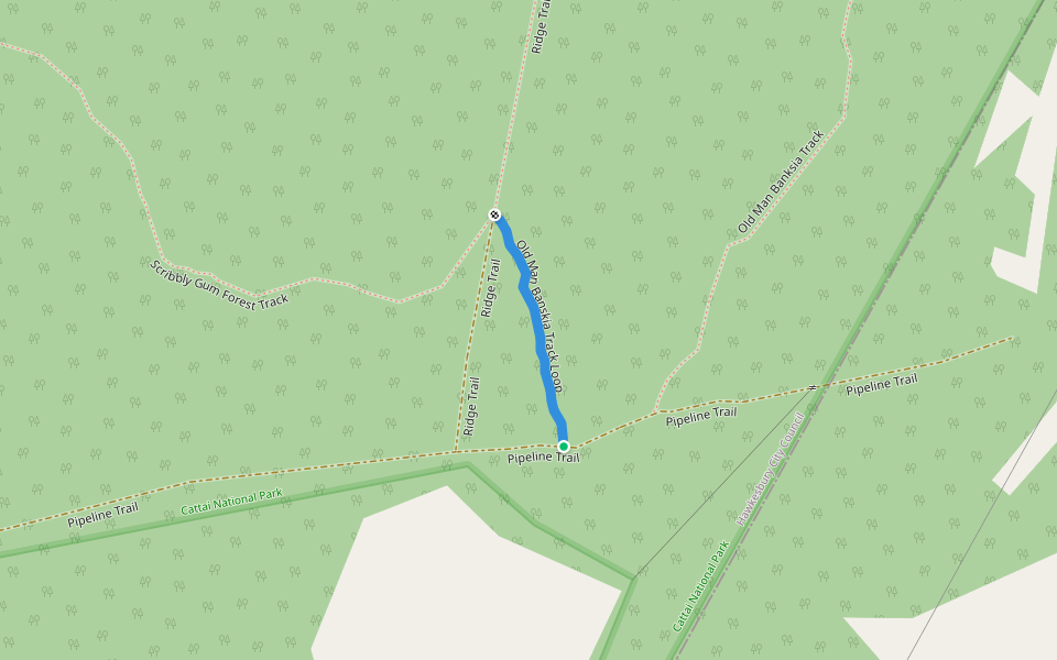 Old Man Banskia Track Loop walking route map in Maraylya