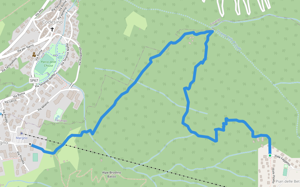 mtb downhill walking route map in Pian delle Betulle