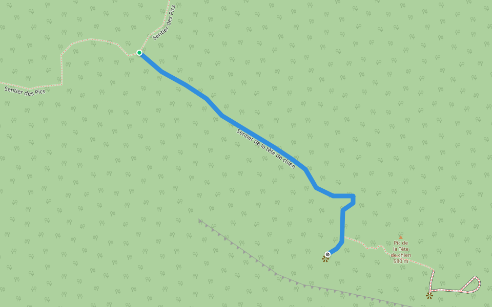 Sentier de la tête de chien walking route map in Saint-Fulgence